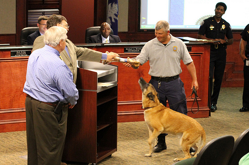 The Wonderful Ways We Can Take Care of Our Animal Companions