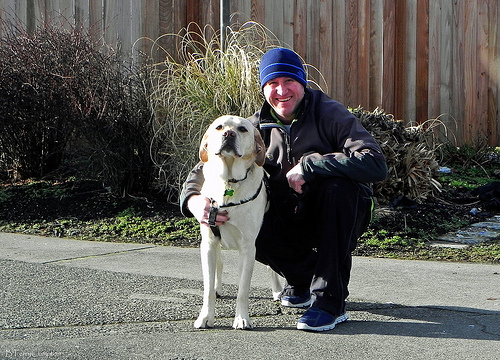 Getting Help for Dog Ear Infections