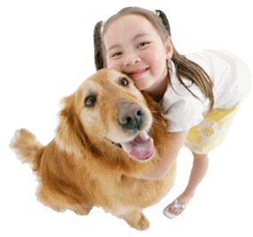 Bow Wow Insurance – Just Apt For Your Pet