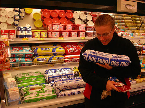 Choosing The Right Dog Food