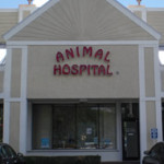 Boca Village Animal Hospital