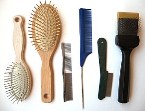 dog combs and brushes