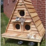 perfect pet enclosures