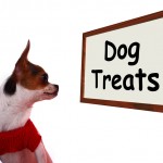 dog treat
