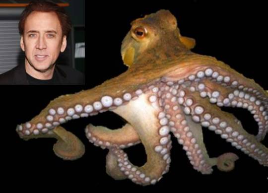 Nicolas Cage with his pet octo