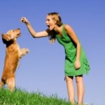 dog-training-classes