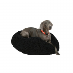 bean bag bed-dog