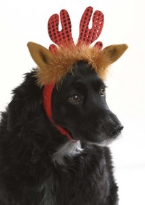 reindeer dog headband