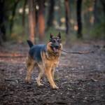 20140704081449IMG_93103493