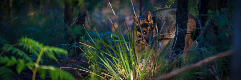 20140704081516IMG_9319