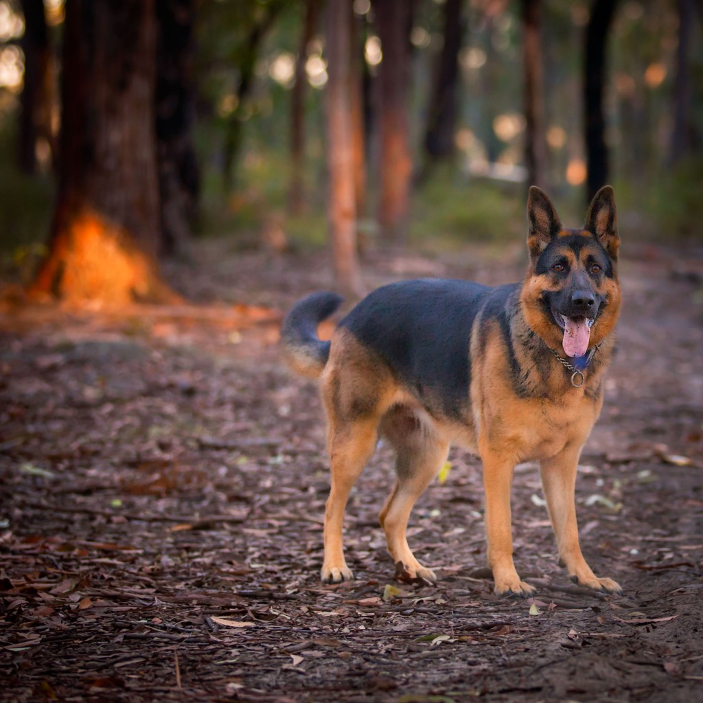 20140704081530IMG_93303494