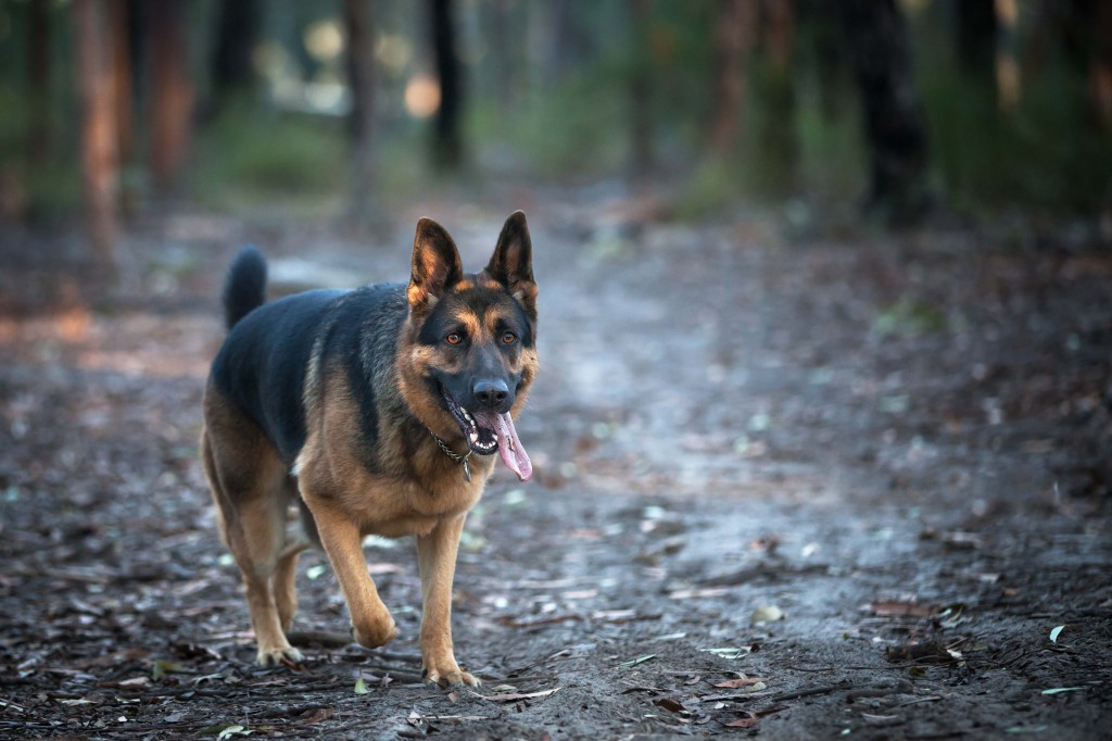 20140704081544IMG_93383495