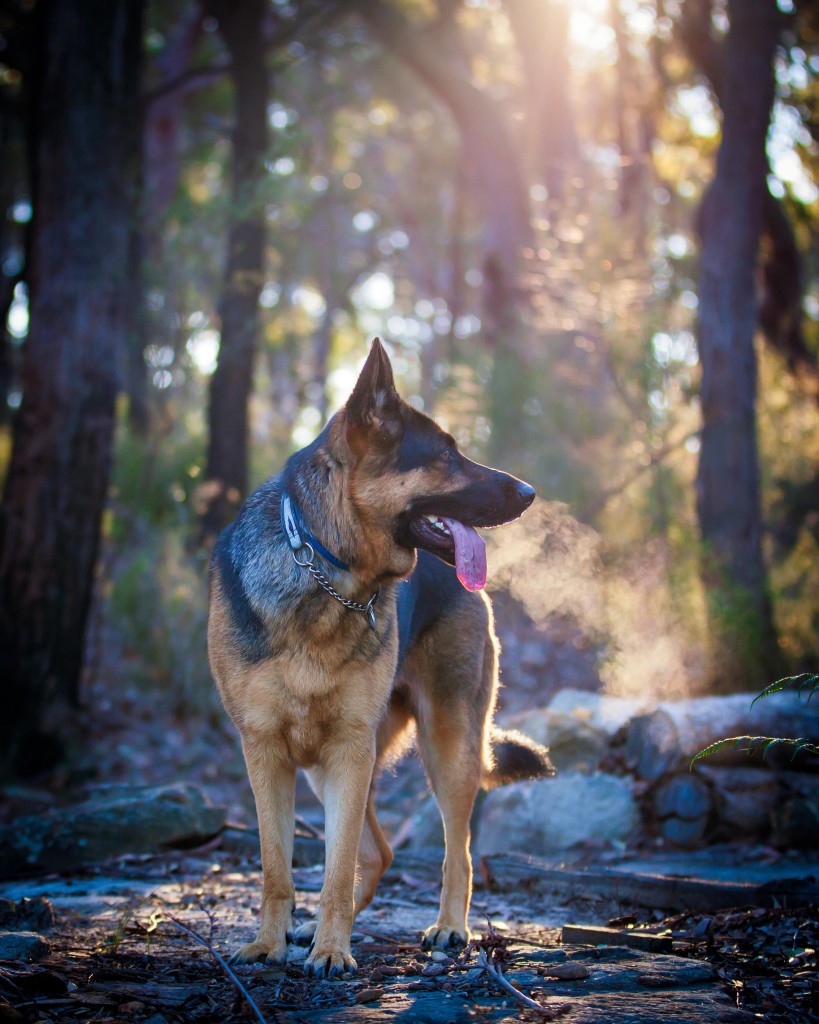 20140704082029IMG_93533497