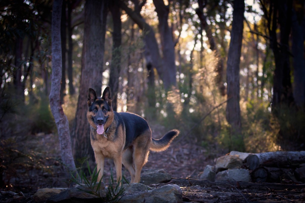 20140704082120IMG_93673498