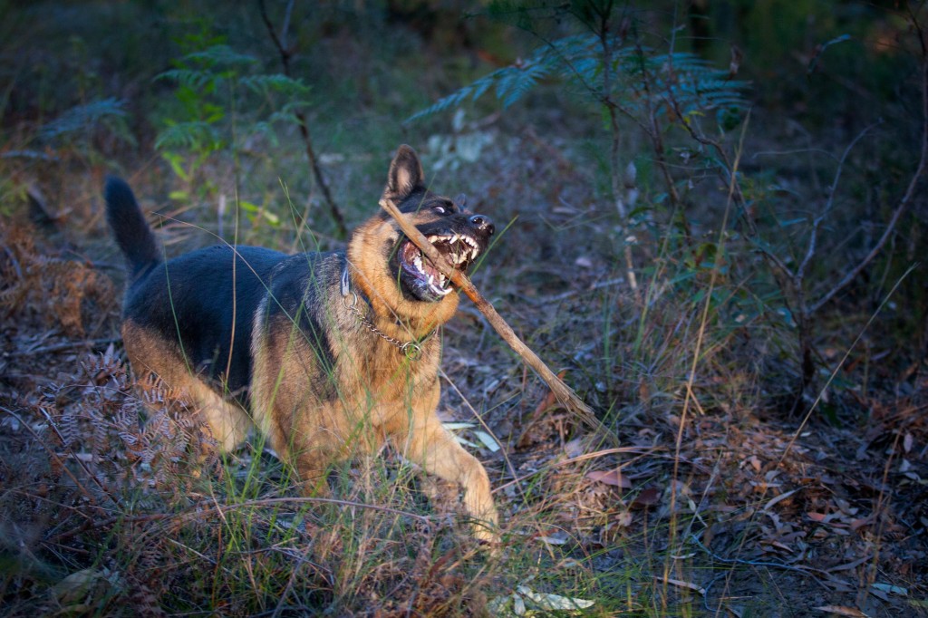 20140704082513IMG_94073500