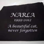 a-beautiful-cat-named-narla