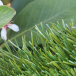 artificial pet grass olive