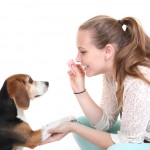 Lara's Canine Solutions