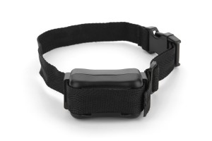 dog bark collar