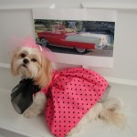 50s dress remembered