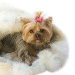 Pink Recycled Ultra Suede Hair Bows