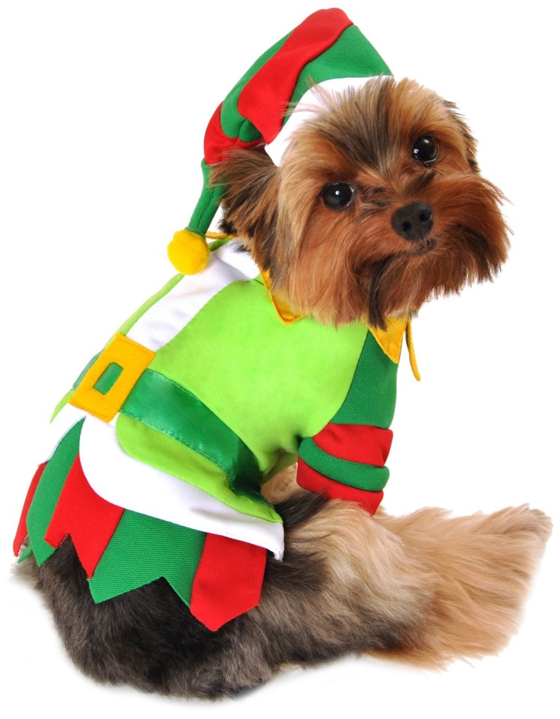 ZoeDoggy of Bevery Hills Fashions