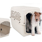 dog crate