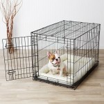 best dog crates and beds