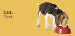 dog food