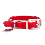 red dog collar petcare.com.au