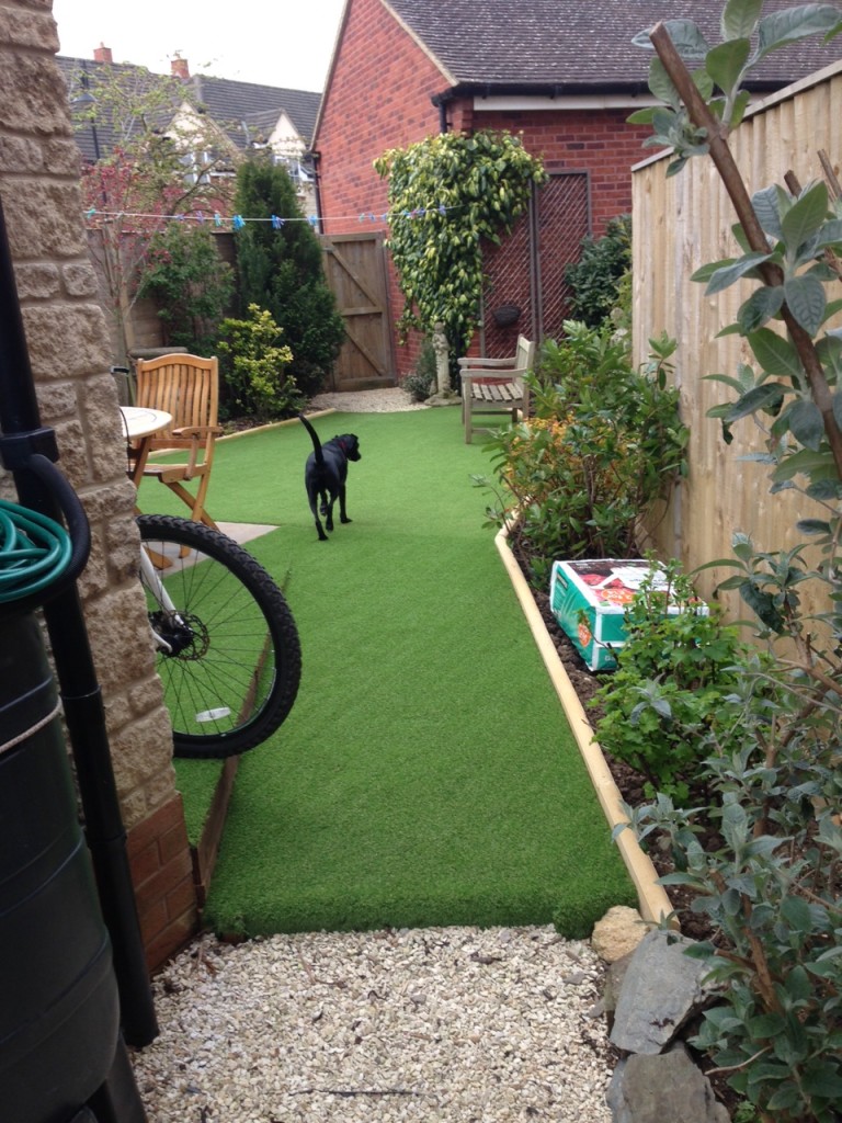 dog on Astro turf artificial grass