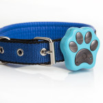 PawTracker Pet tracker