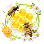 natural holisti bee products by Apipet