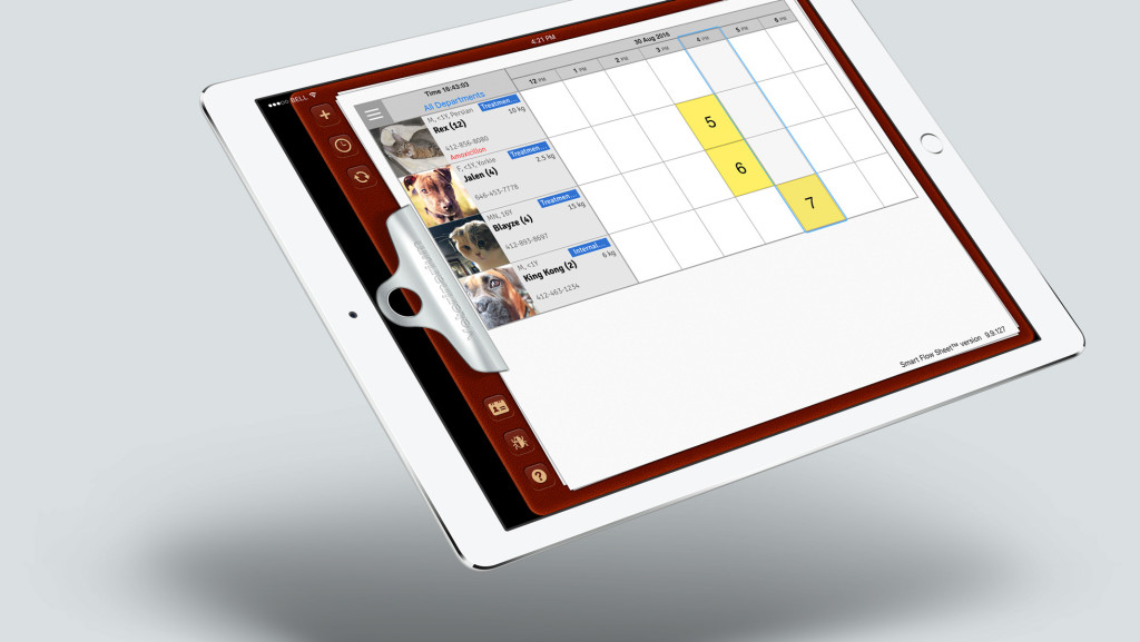 Smart Flow Sheet on ipad