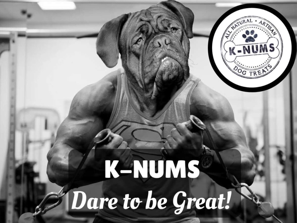 healthy dog with K-Nums