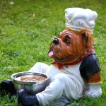 nutrition needs of dogs